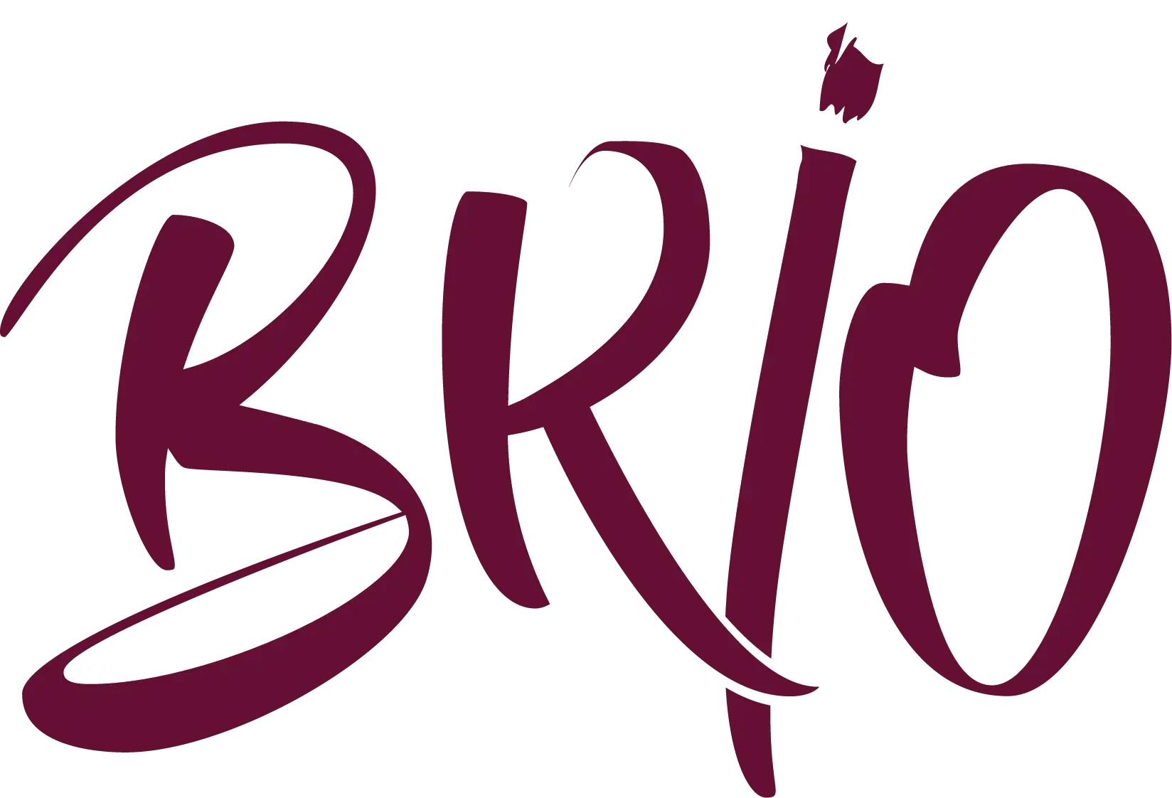 Ateliers d’Intelligence Collective à Strasbourg temoignage